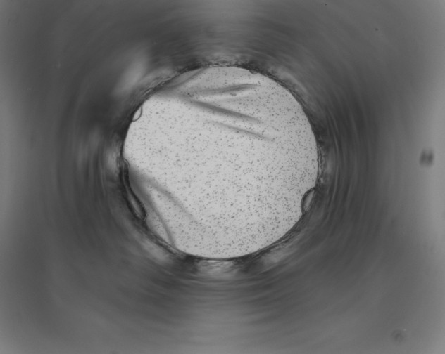 X0000094460334200712061229