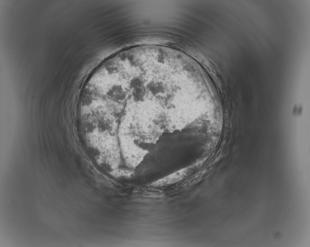 X0000094460337200712061228