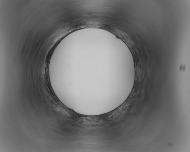 X0000094460338200712061228