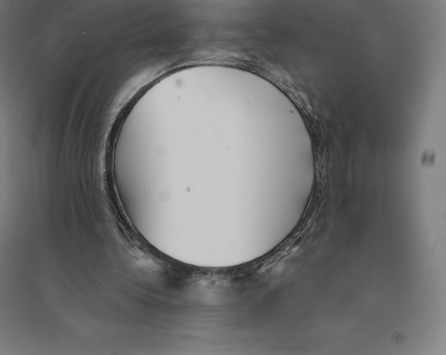 X0000094460340200712061228