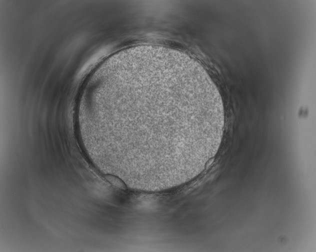 X0000094460341200712061228