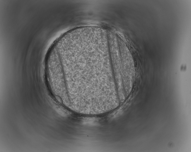 X0000094460342200712061228