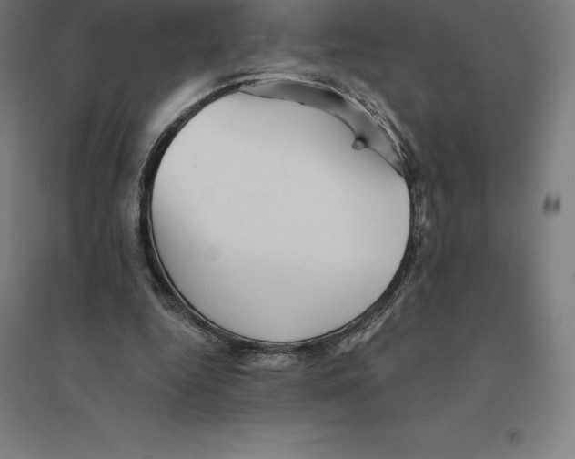 X0000094460344200712061228