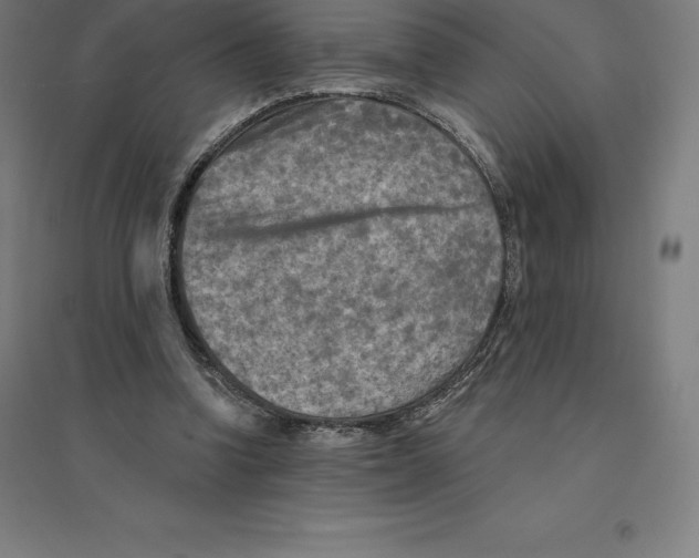 X0000094460346200712061228