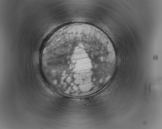 X0000094460347200712061228