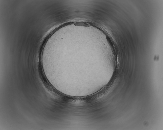 X0000094460348200712061228