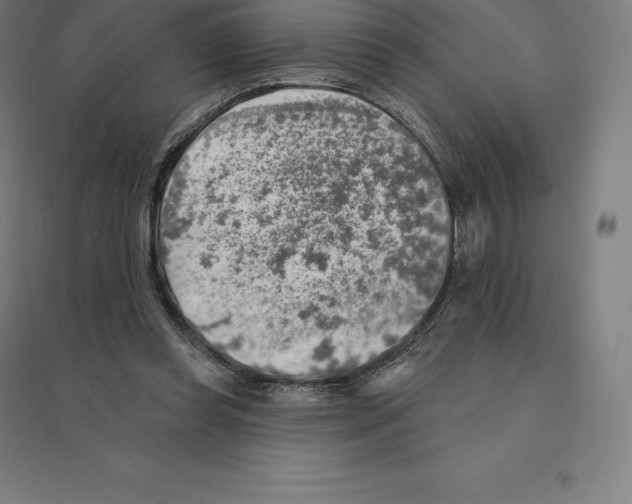 X0000094460349200712061228