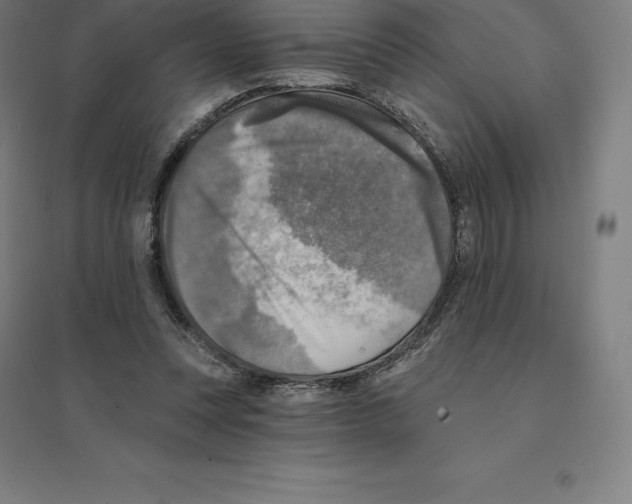 X0000094460351200712061228