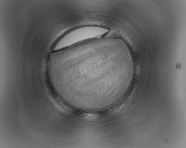 X0000094460352200712061228