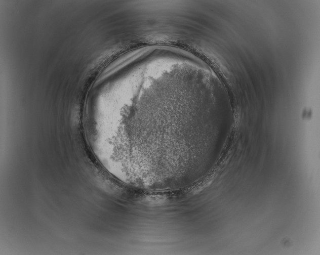 X0000094460353200712061228