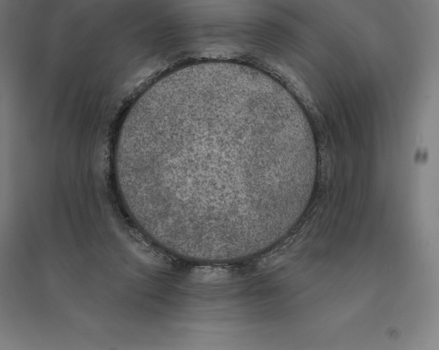 X0000094460354200712061228