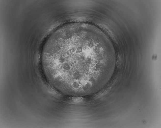 X0000094460355200712061228