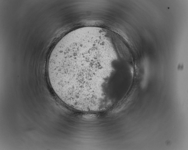 X0000094460357200712061228