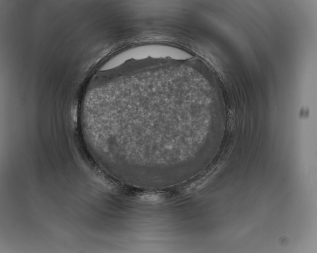 X0000094460358200712061228