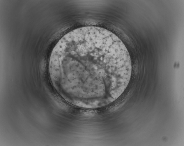 X0000094460359200712061228