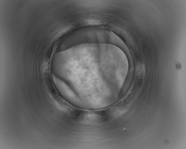 X0000094460360200712061228