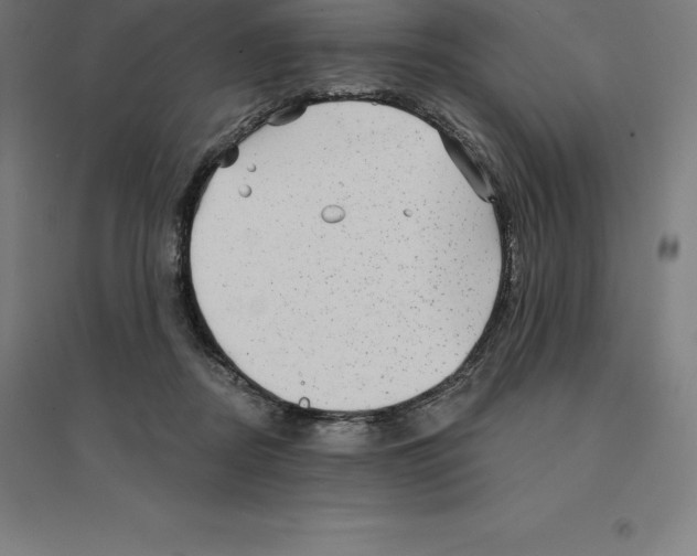 X0000094460362200712061228