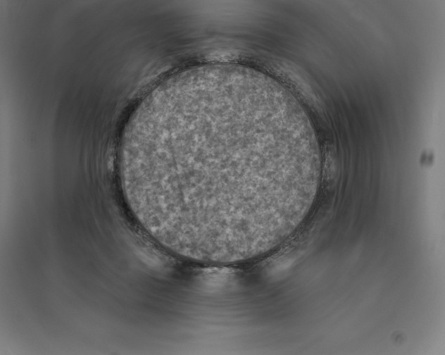 X0000094460363200712061228