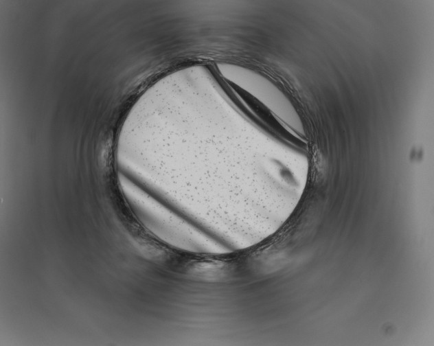 X0000094460364200712061228