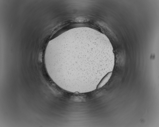 X0000094460368200712061228