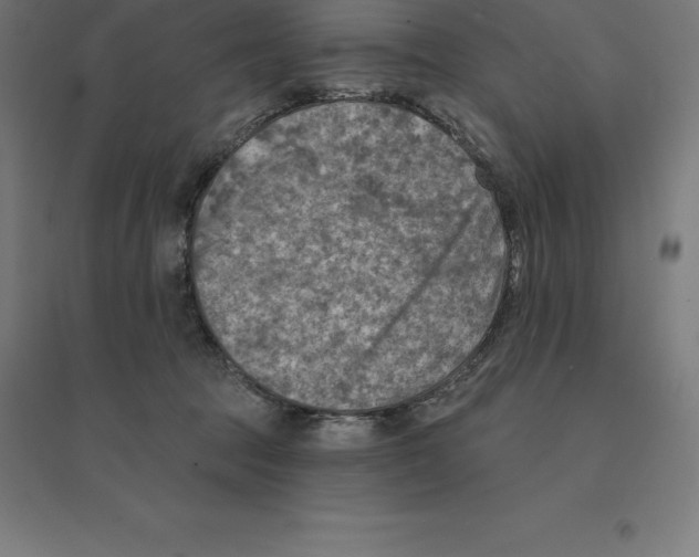 X0000094460369200712061228