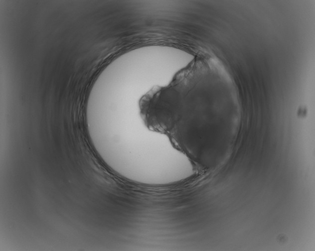 X0000094460371200712061229