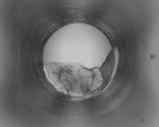 X0000094460373200712061229