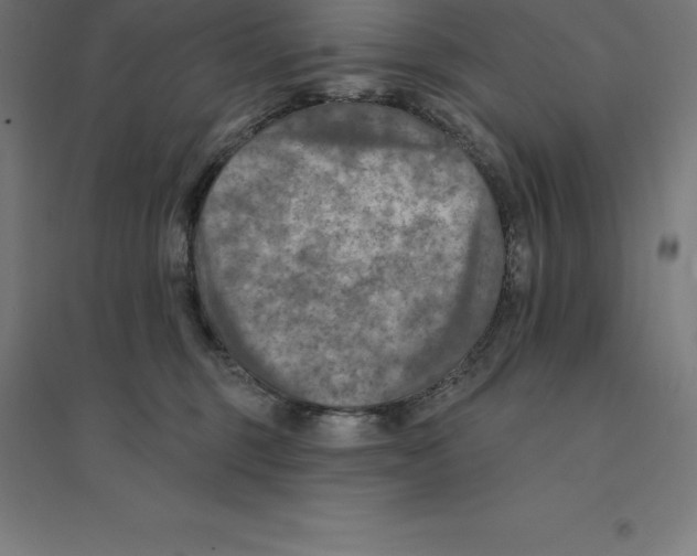 X0000094460375200712061229