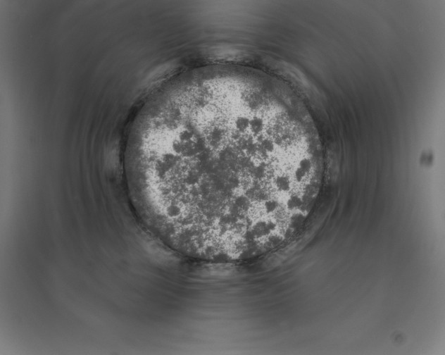 X0000094460377200712061229