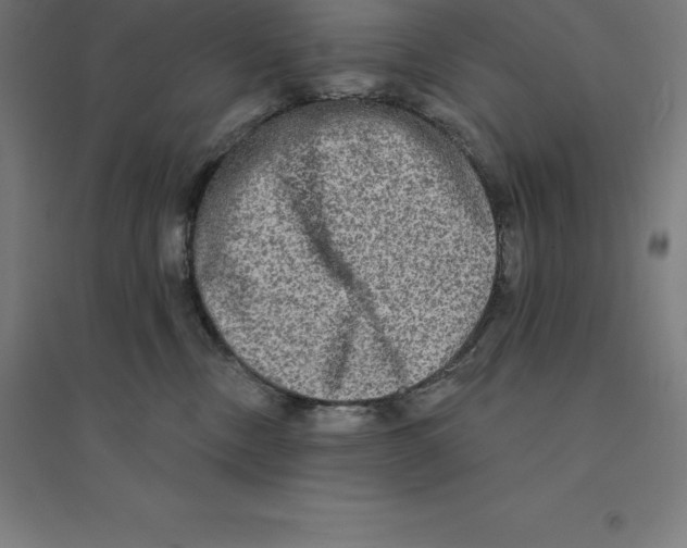 X0000094460378200712061229