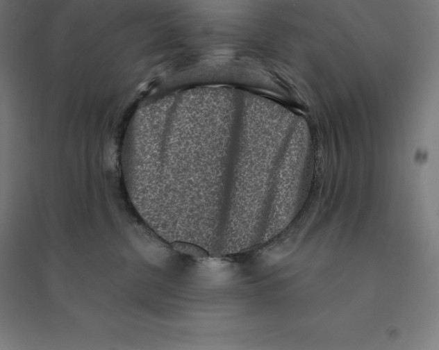 X0000094460380200712061229