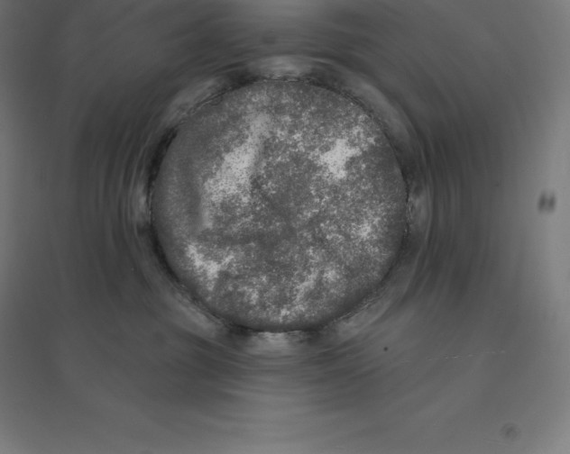 X0000094460381200712061229