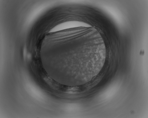 X0000094460382200712061229