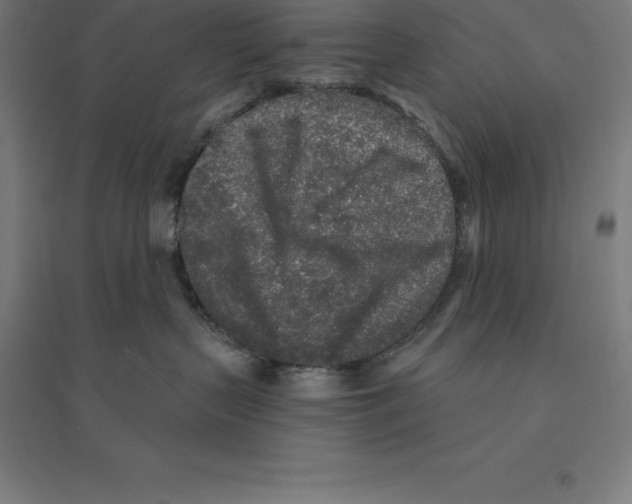 X0000094460383200712061229