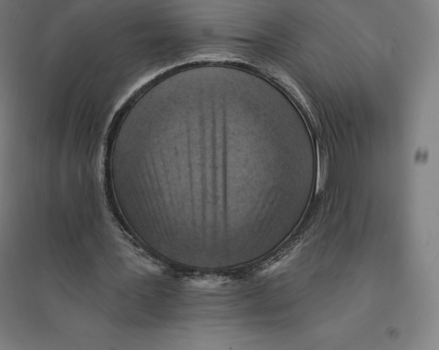 X0000094460387200712061228