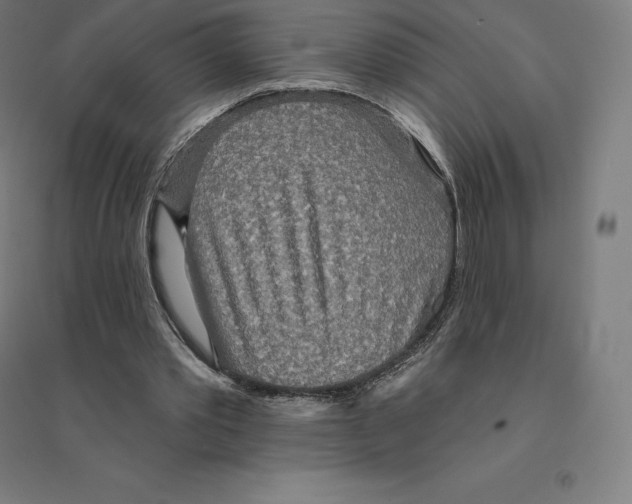 X0000094460389200712061228