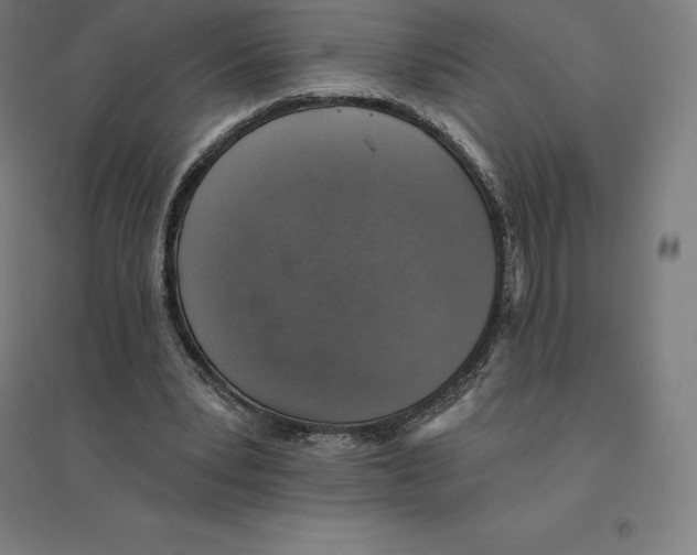 X0000094460391200712061228