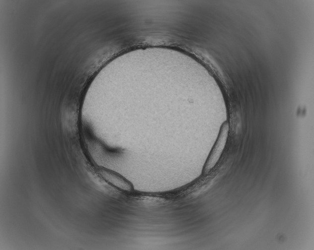 X0000094460393200712061228