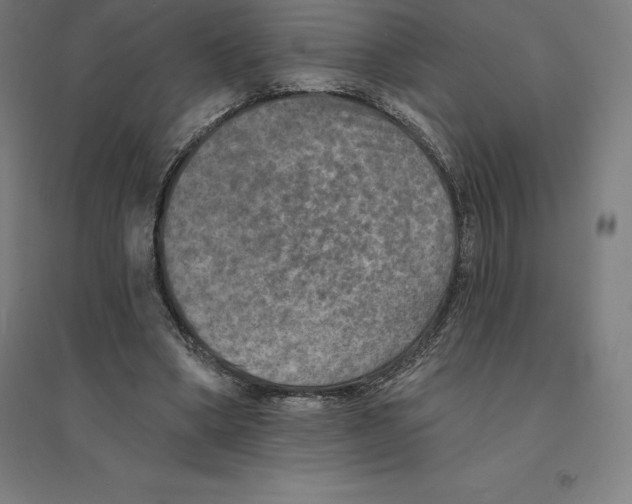 X0000094460394200712061228