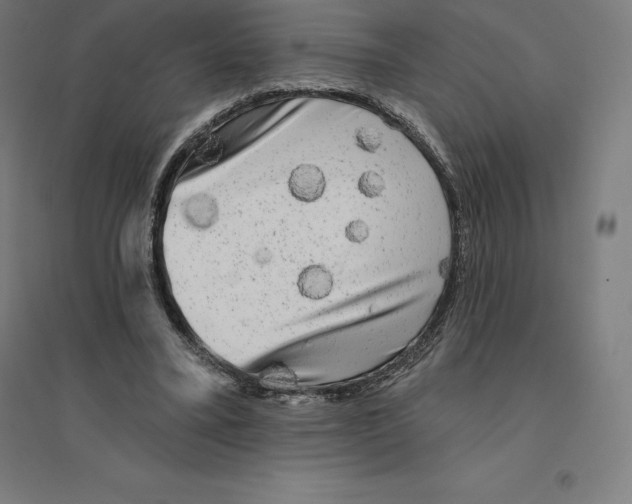 X0000094460395200712061228