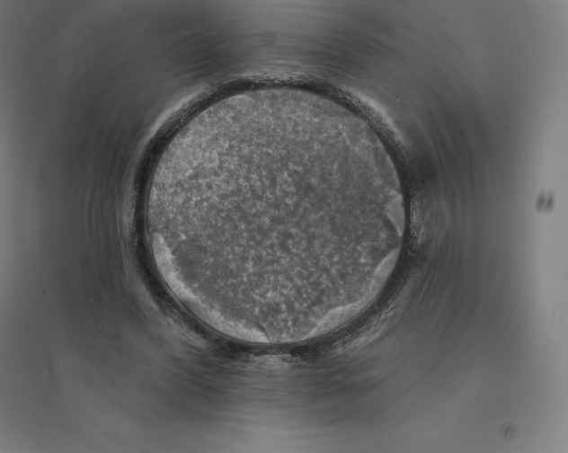 X0000094460396200712061228