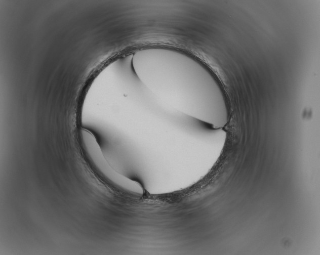 X0000094460399200712061228