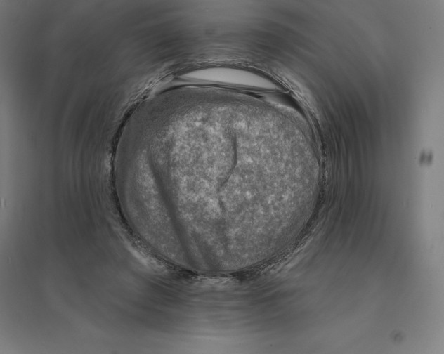 X0000094460401200712061228