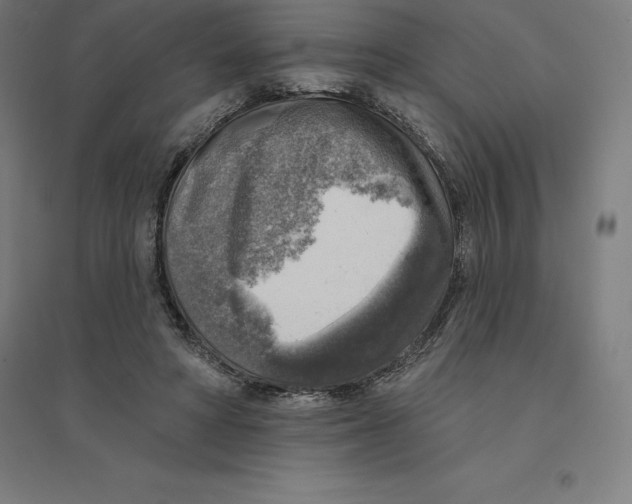 X0000094460402200712061228