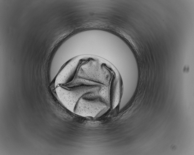 X0000094460403200712061228