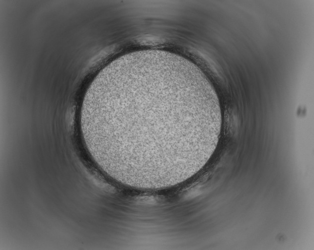 X0000094460404200712061228