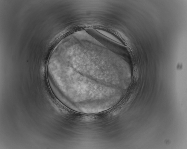 X0000094460405200712061228