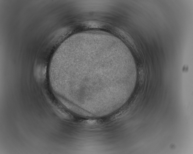 X0000094460406200712061228