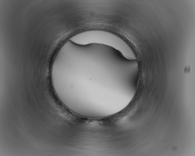 X0000094460407200712061228