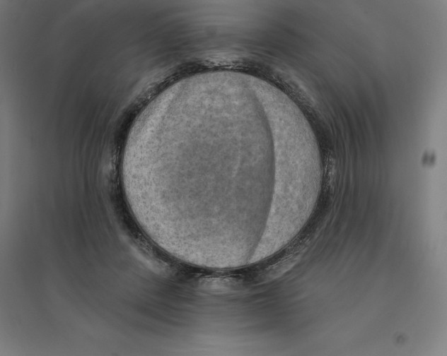 X0000094460408200712061228